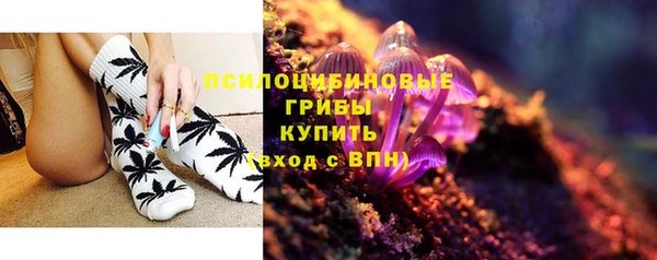 таблы Дмитриев