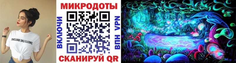 купить закладку  Сызрань  Псилоцибиновые грибы мицелий 